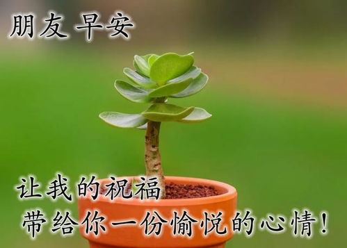 清晨阳光句子说说心情短语