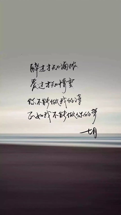 唯美的句子经典语录