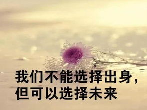 冬至节发给男朋友的句子