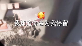 为什么我感觉现在的网络小说没有以前好看了