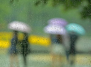 夸赞下雨天的句子