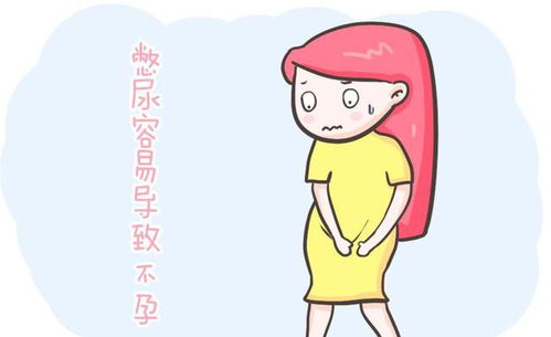 女生憋尿会导致不孕吗