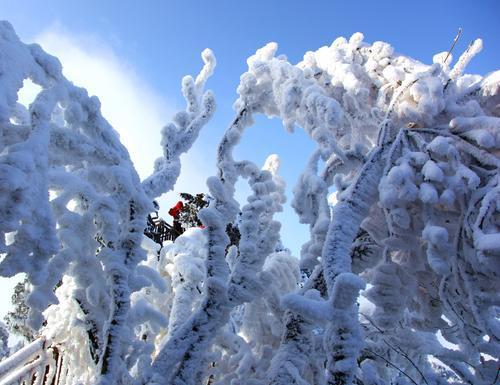 2o15年2月12曰打雷是什么预兆