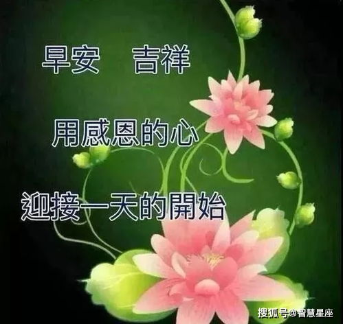 早上好的句子