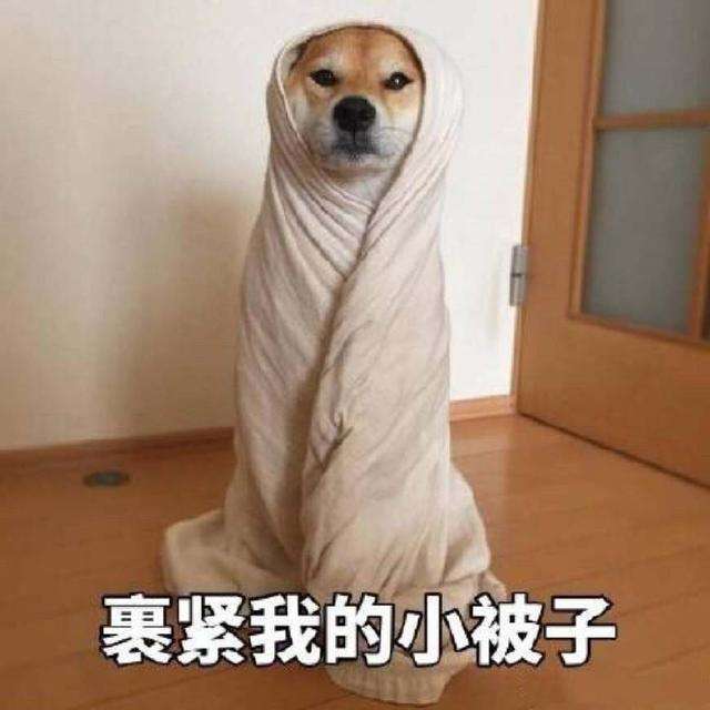 谁给我一个笑话