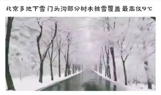 春天下雪是什么意思？