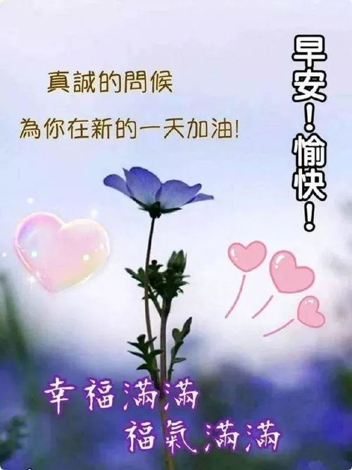 周末暖心的微信问候语