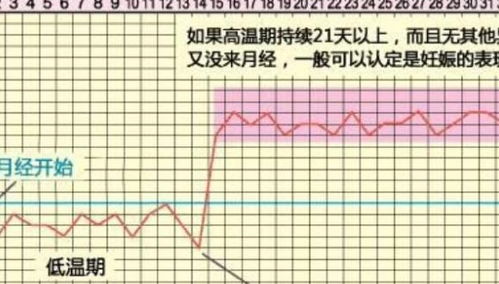 如何选择最佳受孕时机