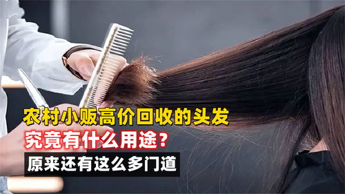 现在碎头发的市场价格是多少？好心人帮下忙吧