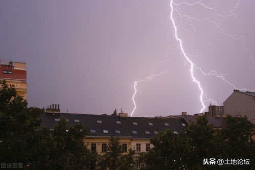 大年初一打雷下雨预示什么