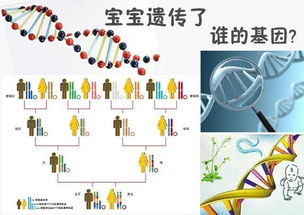 强迫症会遗传下一代吗