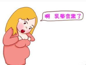 女性乳晕变黑是什么原因