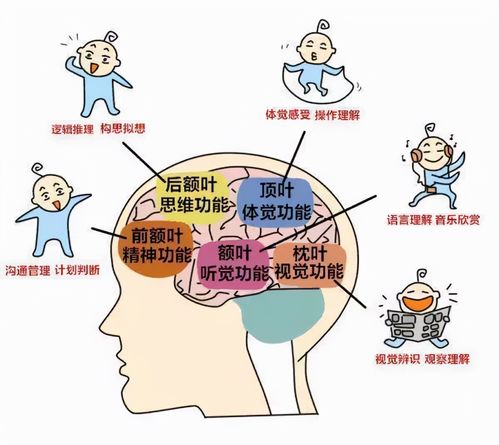 孩子的触觉教育,应从还未出生开始吗