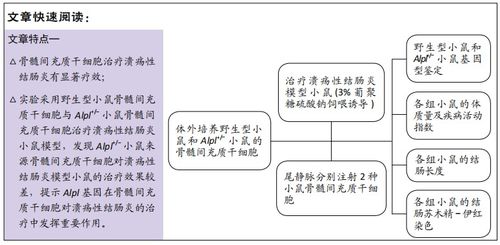 碱性磷酸酶为200以上是怎样