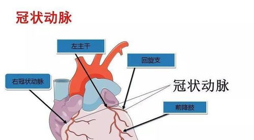 检查输卵管的过程痛吗女