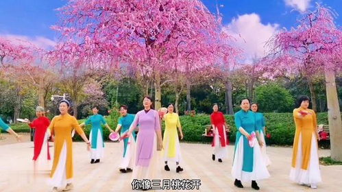 DanceStyle舞完整的教课视频？