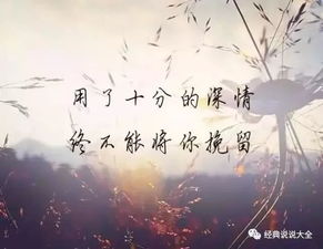 抖音温馨的句子