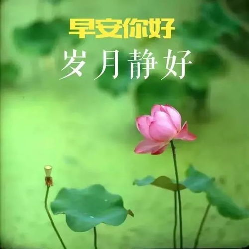 早安说说简短唯美句子正能量