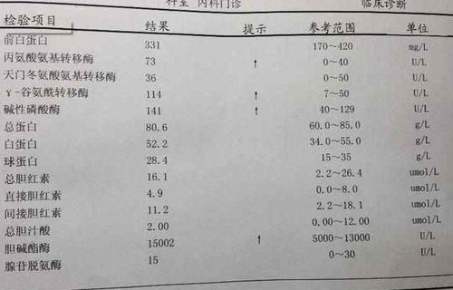 肝功能五项检查什么