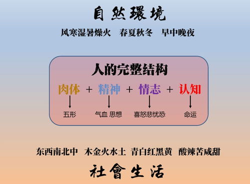 金木水火土之间的关系是什么？