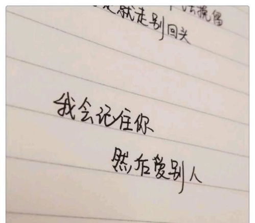 隔屏相望思念的诗句